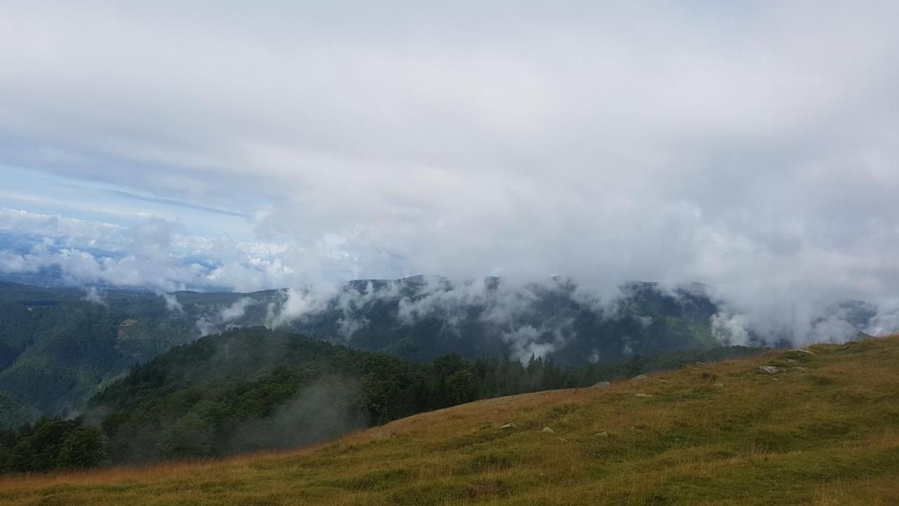 Alena Villa Ranca Bagian luar foto